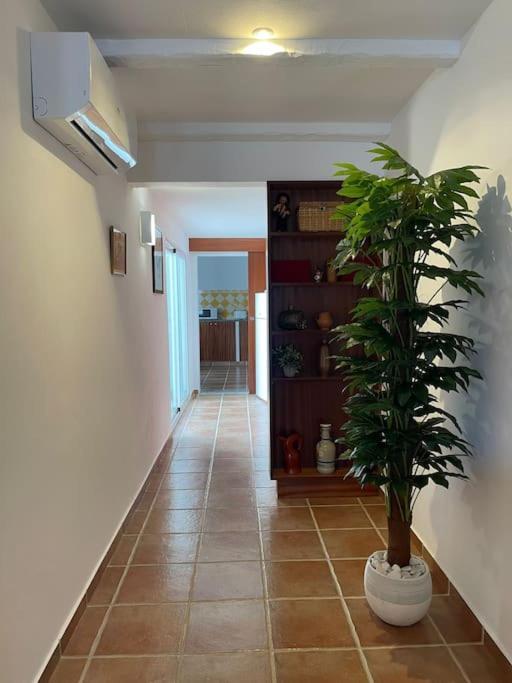 Casa Da Oliveira Βίλα Mourão Εξωτερικό φωτογραφία